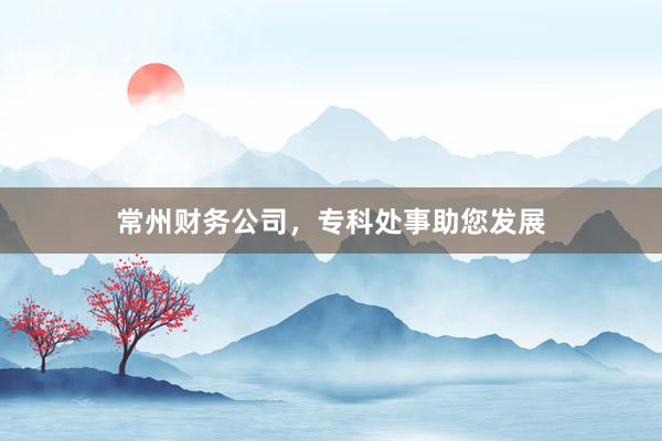 常州财务公司，专科处事助您发展